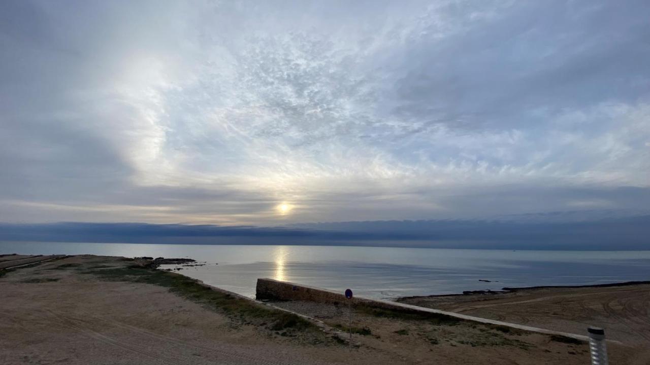 Beachfront Apartment - La Mata ตอร์เรเวียคา ภายนอก รูปภาพ